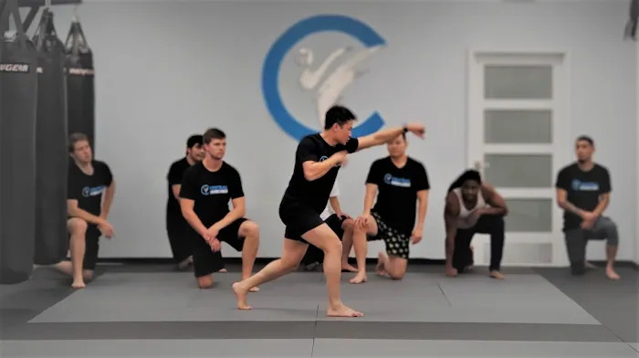 Central Martial Arts Picture 10