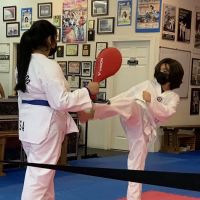 Lee's International Tae Kwon Do ico