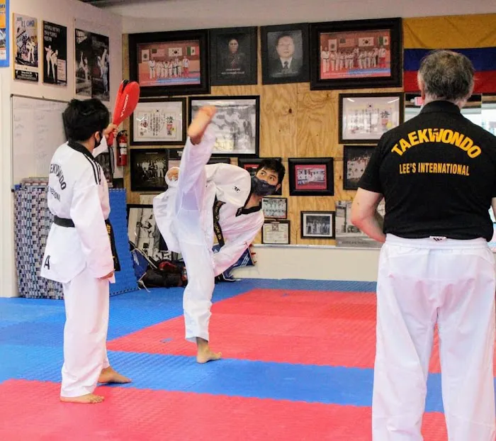 Lee's International Tae Kwon Do Picture 10