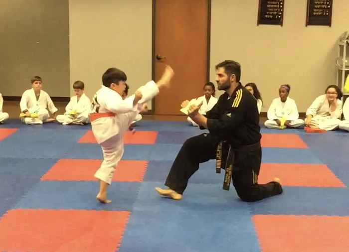 AMA Taekwondo Picture 1
