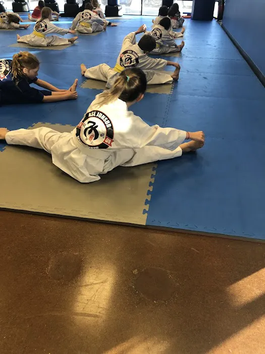 AMA Taekwondo Picture 6