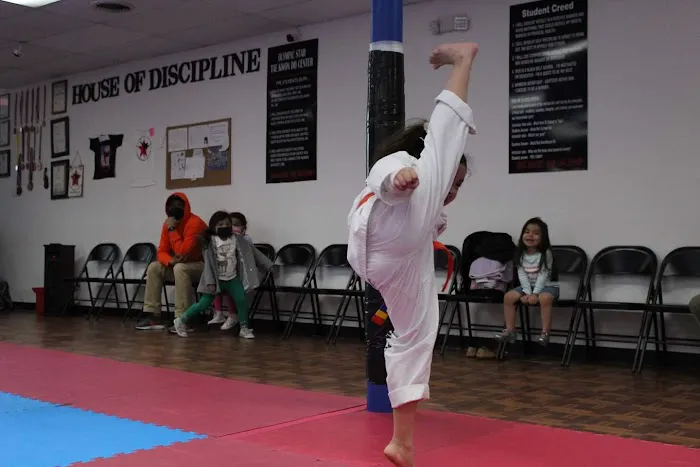 Olympic Star Taekwondo Center Picture 2
