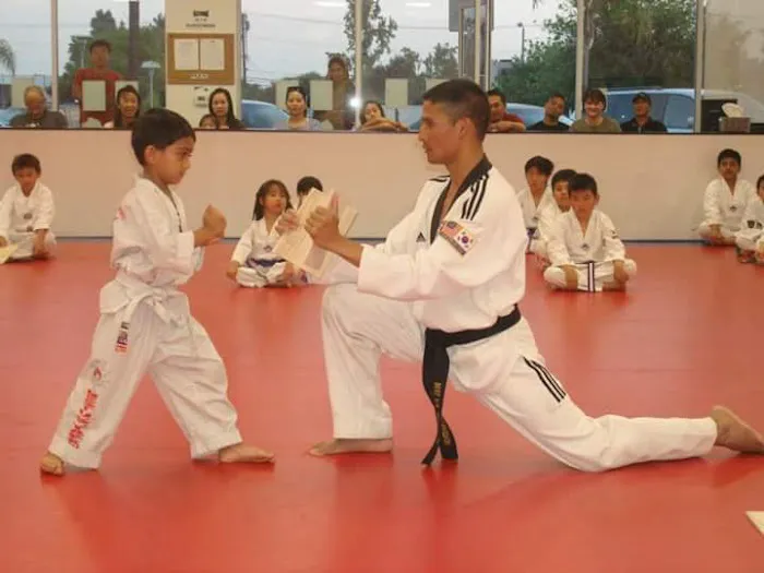 Olympic Star Taekwondo Center Picture 8