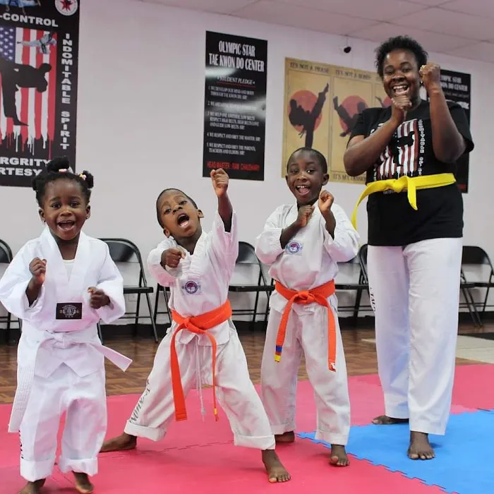 Olympic Star Taekwondo Center Picture 6