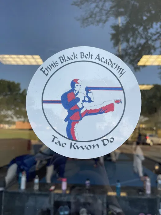 Ennis Black Belt Academy Picture 1