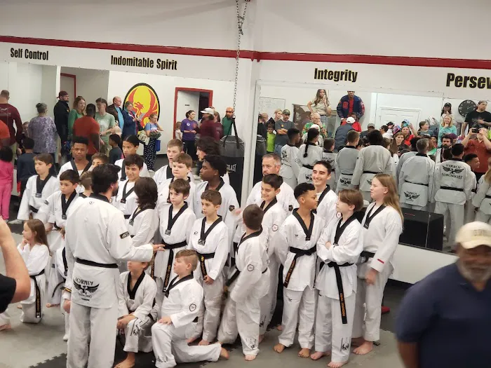 FORNEY TAEKWONDO CENTER Picture 7