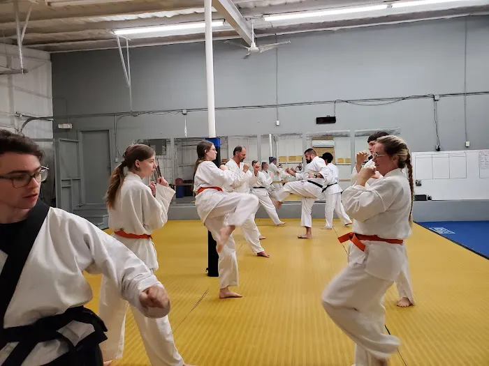 Aledo Martial Arts Picture 1