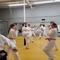 Aledo Martial Arts ico
