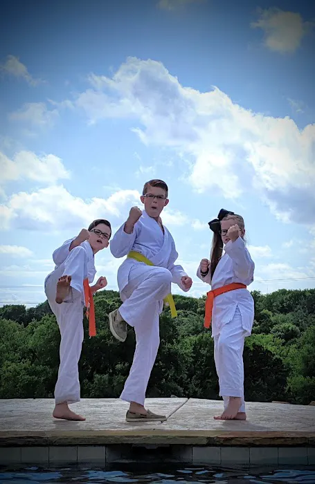 The Karate University Picture 5