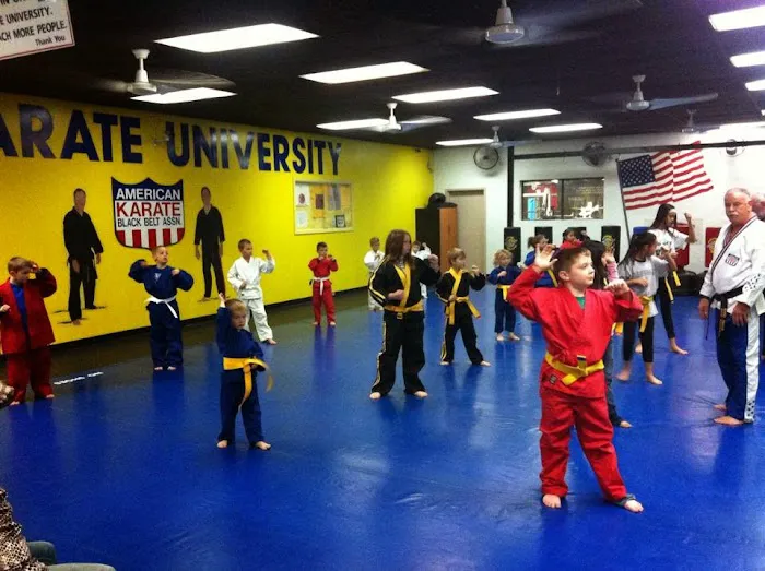 The Karate University Picture 10