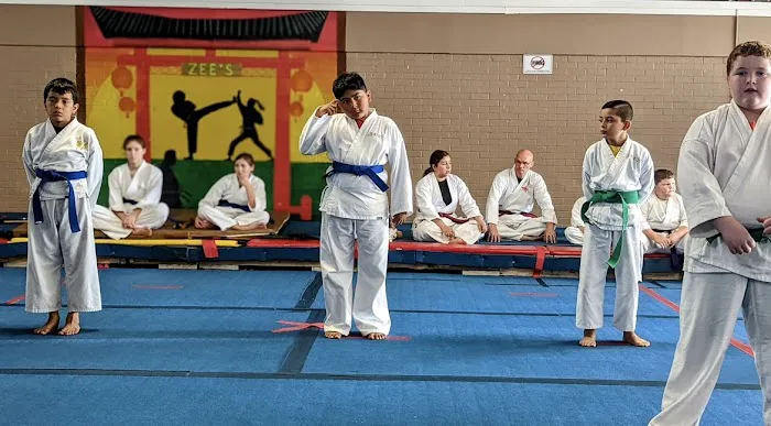Zee's American Tae Kwon Do Picture 10