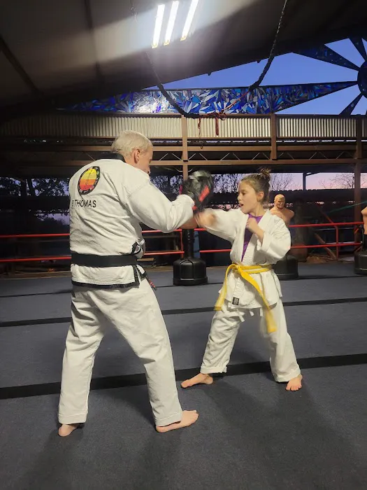 Legends Martial Arts Azle Picture 1