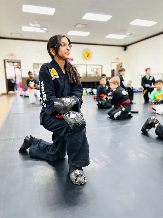 Reveal Martial Arts Haslet Picture 3