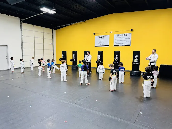 Reveal Martial Arts Haslet Picture 7