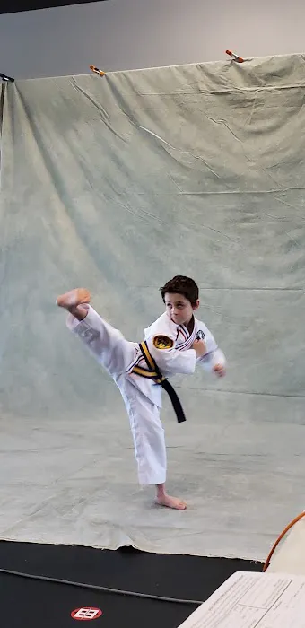 Vanguard Martial Arts Picture 1