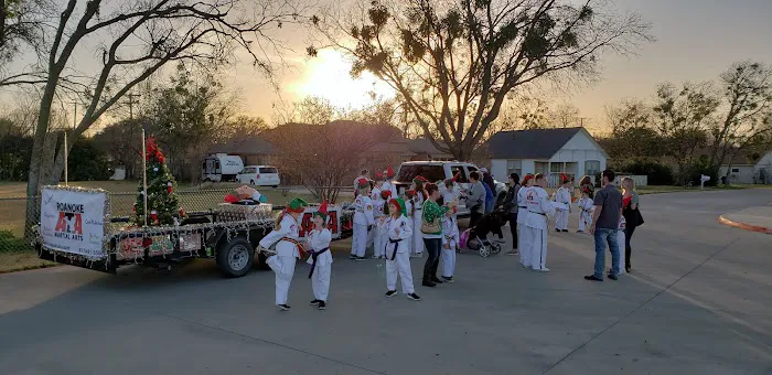 Vanguard Martial Arts Picture 4