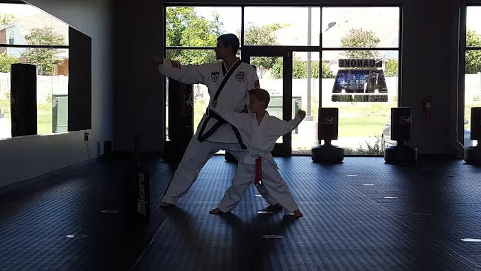 Vanguard Martial Arts Picture 8