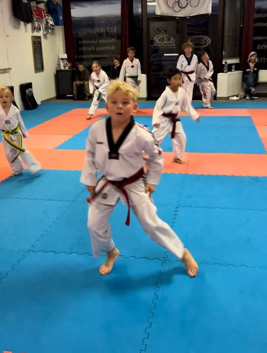 Pro Taekwondo Roanoke Picture 9