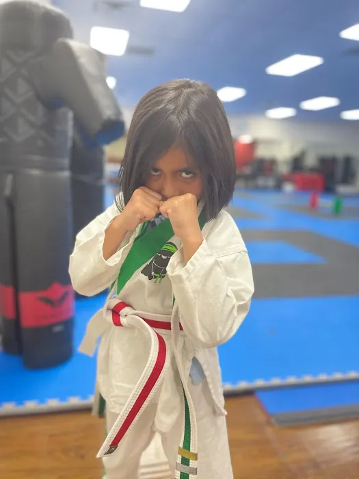 Mesquite Martial Arts Academy Picture 7