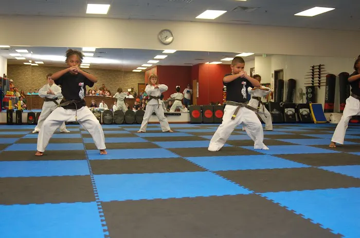 Mesquite Martial Arts Academy Picture 10