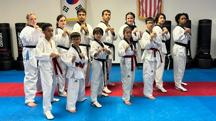 KSF Taekwondo & After School Program Picture 4