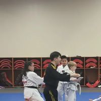 White Tiger Taekwondo ico