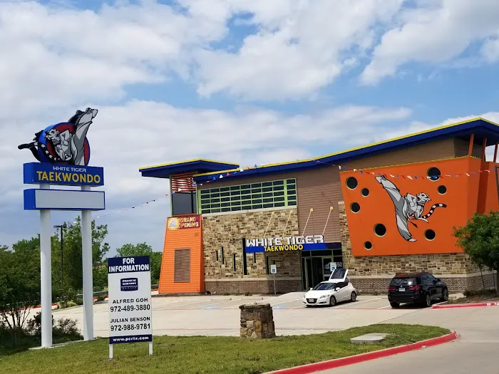 White Tiger Taekwondo Picture 6