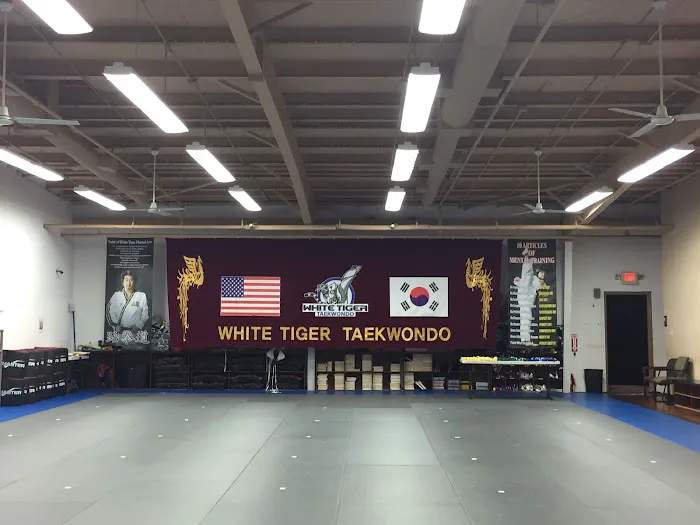White Tiger Taekwondo Picture 4