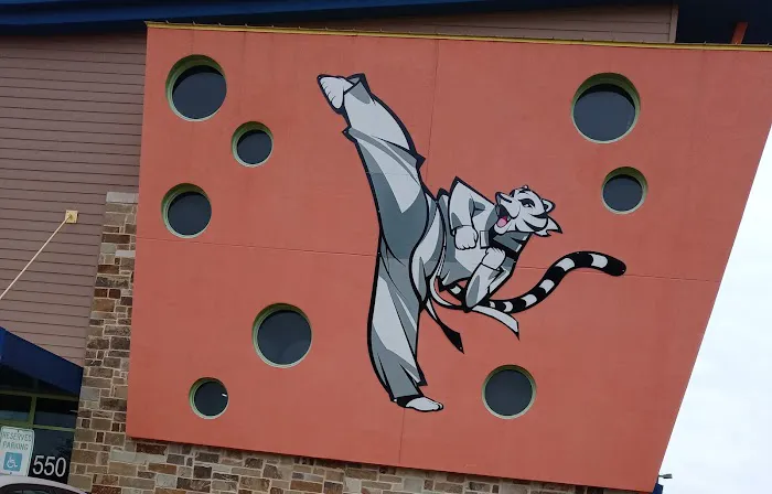 White Tiger Taekwondo Picture 7