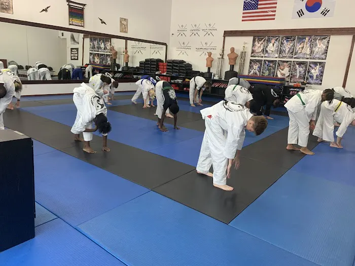 Rowlett Martial Arts Center Picture 1