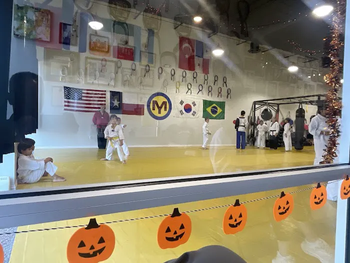 My Martial Arts Picture 4