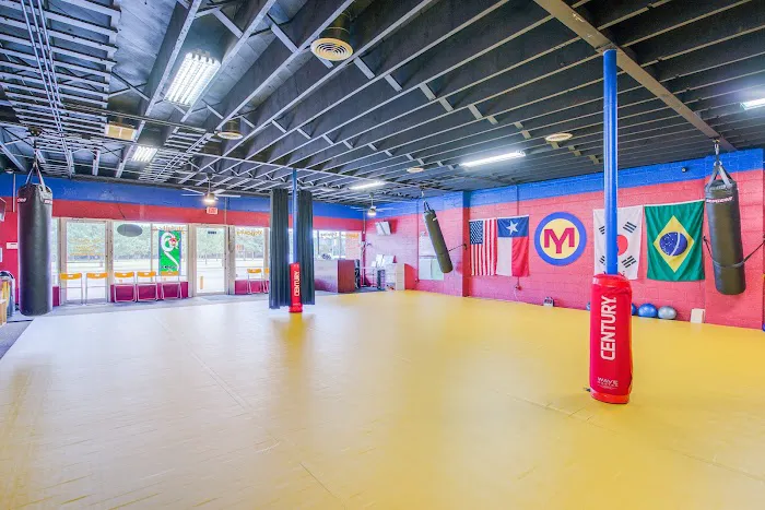 My Martial Arts Picture 9