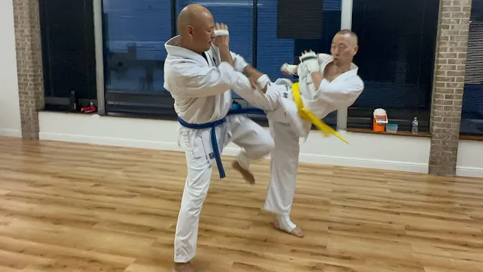 Dallas Kyokushin Karate Picture 6