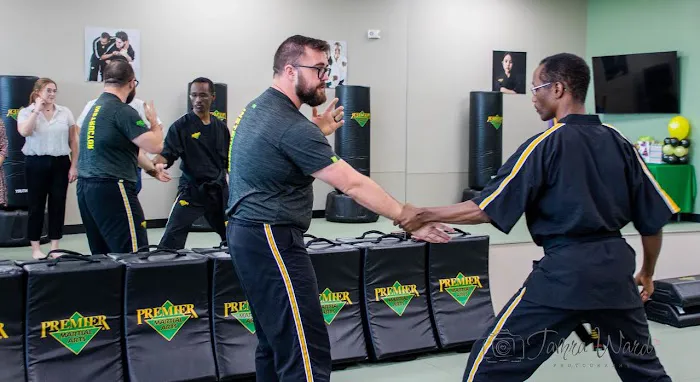 Premier Martial Arts Addison Picture 4