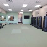Premier Martial Arts Addison