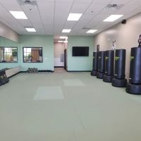 Premier Martial Arts Addison ico