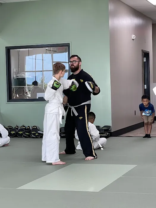 Premier Martial Arts Addison Picture 3