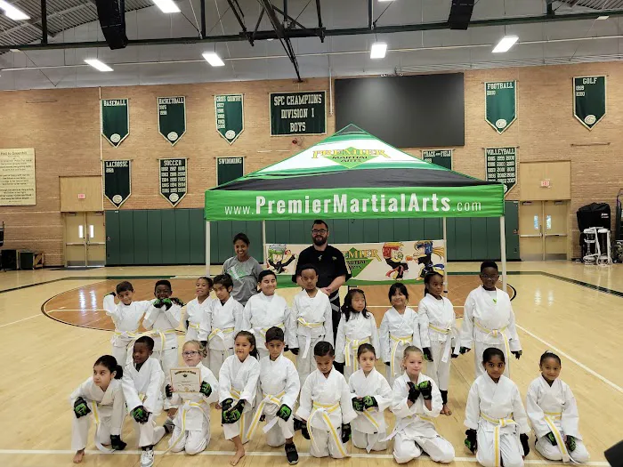 Premier Martial Arts Addison Picture 7