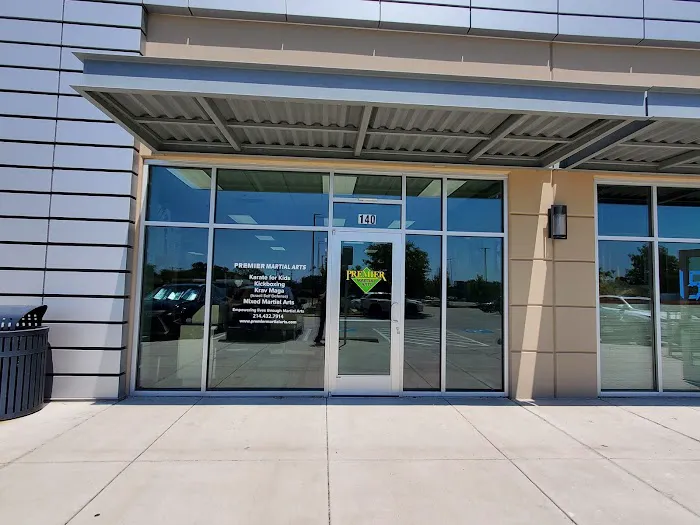 Premier Martial Arts Addison Picture 5