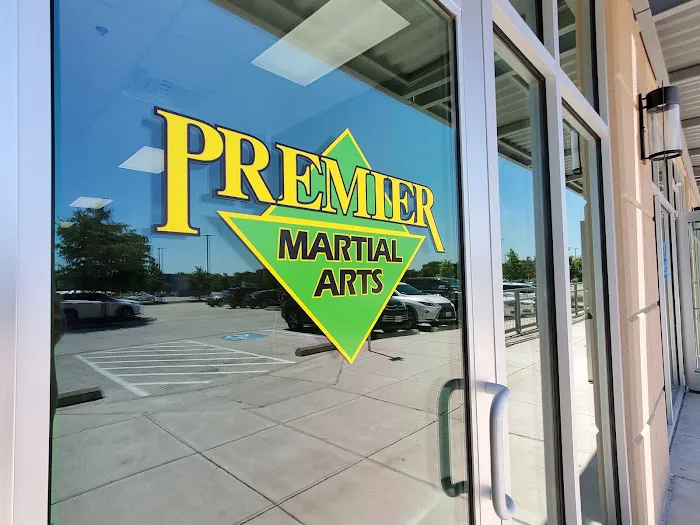 Premier Martial Arts Addison Picture 8