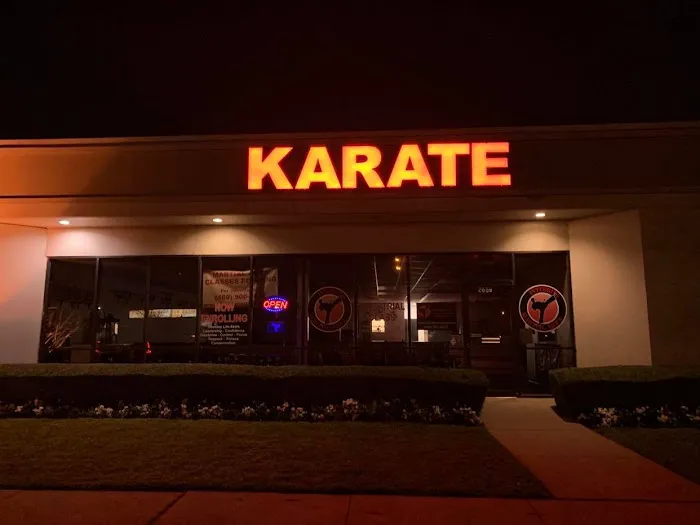 Integrity Martial Arts Academy Picture 5