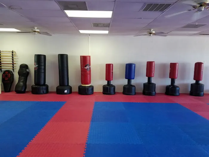Thomas Academy of Martial Arts Picture 1