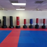 Thomas Academy of Martial Arts ico