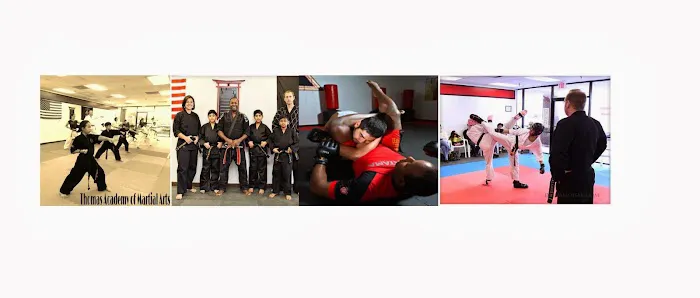 Thomas Academy of Martial Arts Picture 5