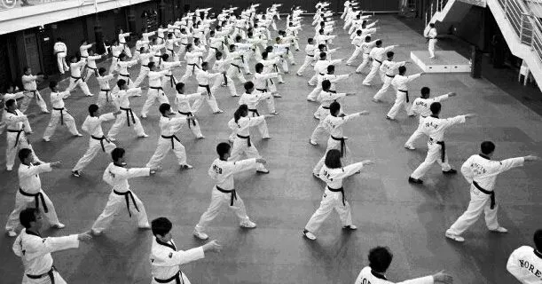 J Tiger Martial Arts Picture 2