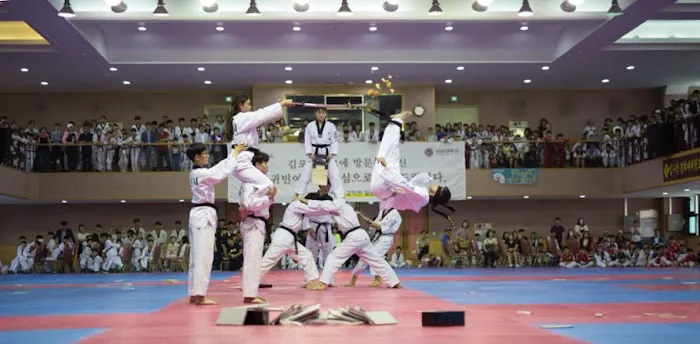 J Tiger Martial Arts Picture 1