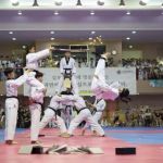 J Tiger Martial Arts