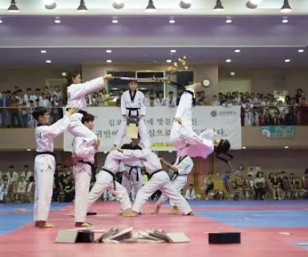 J Tiger Martial Arts