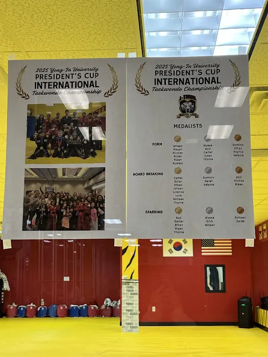 J Tiger Martial Arts Picture 6