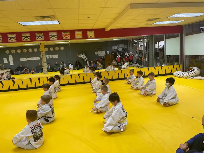 J Tiger Martial Arts Picture 7